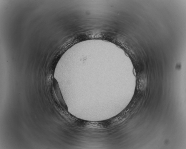 X0000098010521200804251117