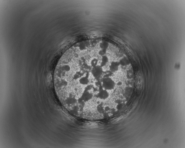 X0000098010523200804251117