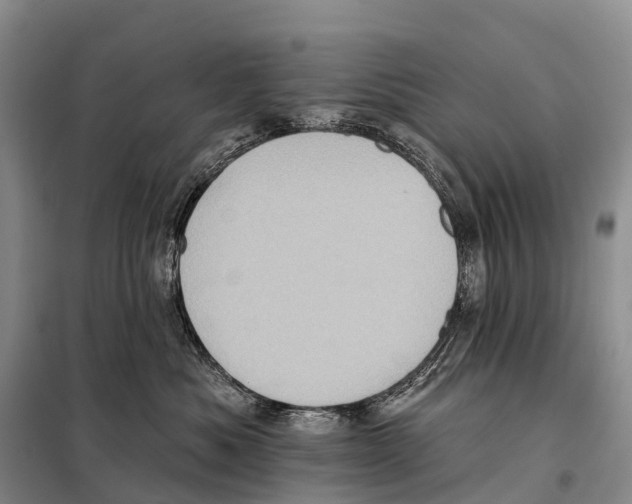 X0000098010525200804251117