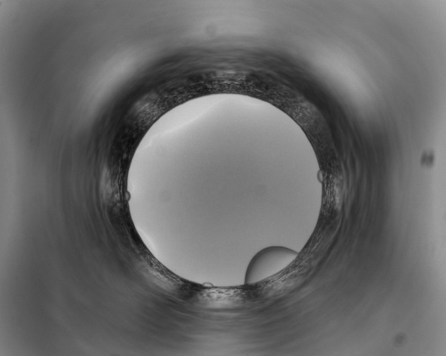 X0000098010526200804251117