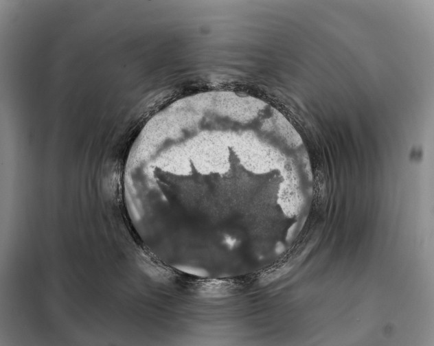 X0000098010527200804251117