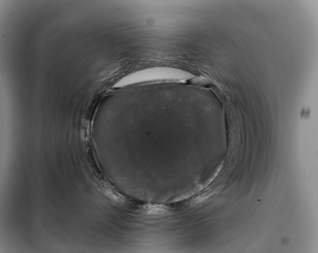 X0000098010528200804251117