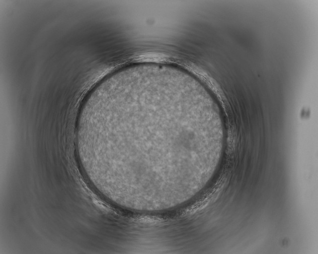 X0000098010529200804251116