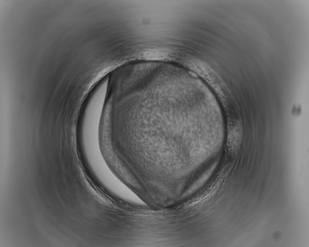 X0000098010530200804251116