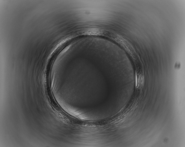 X0000098010531200804251116