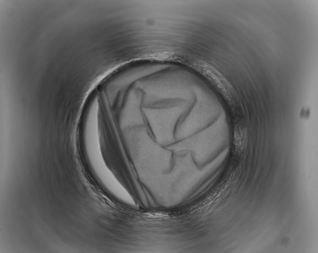 X0000098010532200804251116