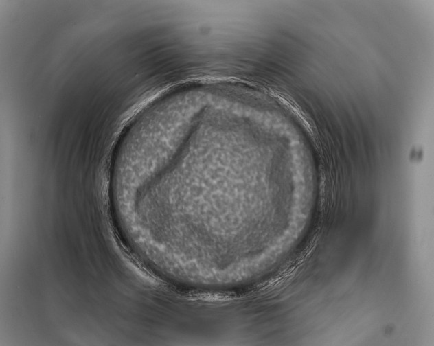 X0000098010533200804251116