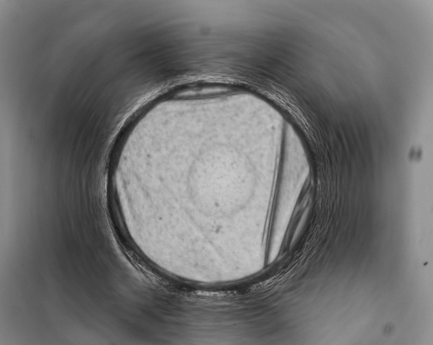 X0000098010534200804251116