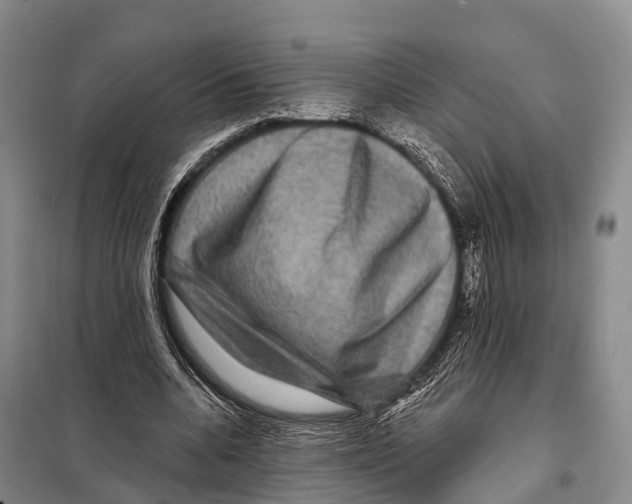 X0000098010536200804251116