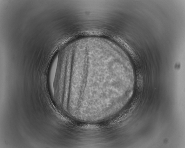 X0000098010537200804251116