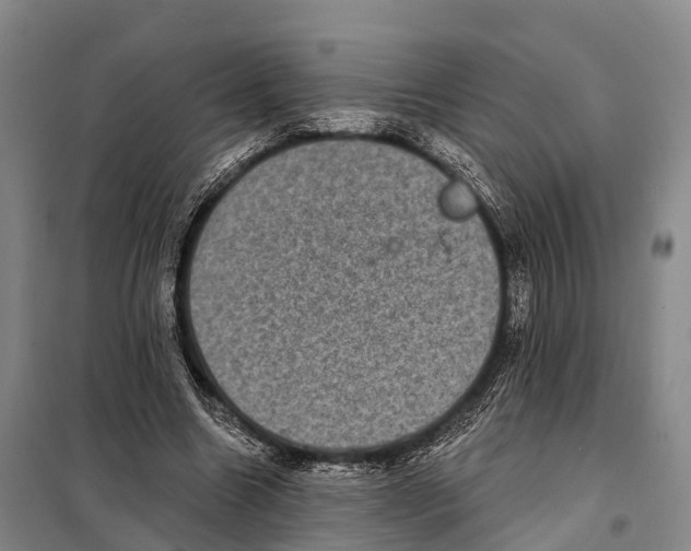 X0000098010538200804251116