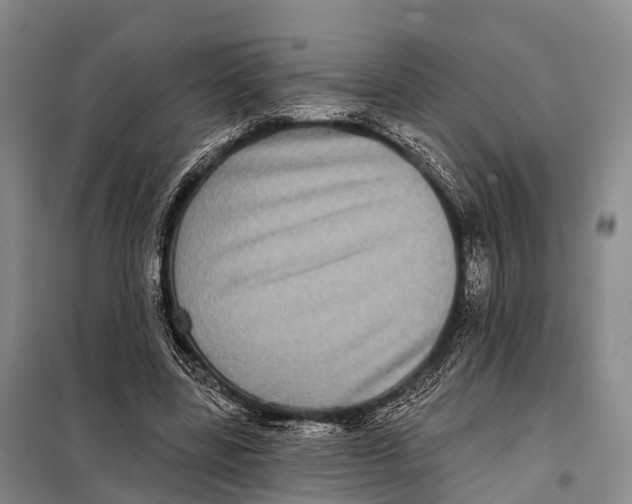 X0000098010539200804251116