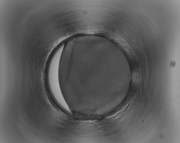 X0000098010540200804251116