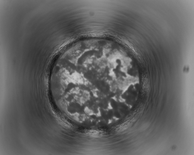 X0000098010542200804251117