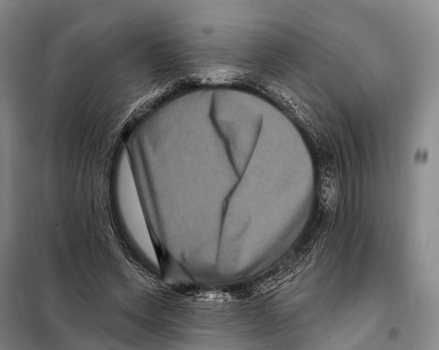 X0000098010543200804251117