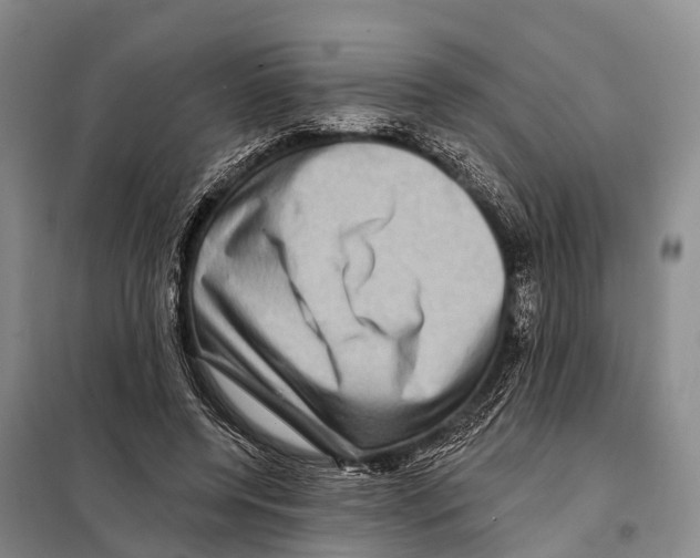 X0000098010544200804251117