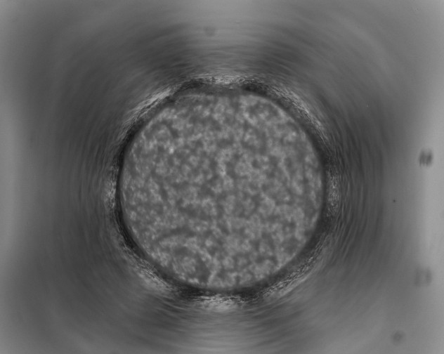 X0000098010545200804251117