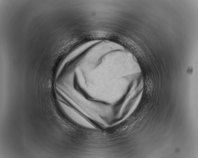 X0000098010546200804251117