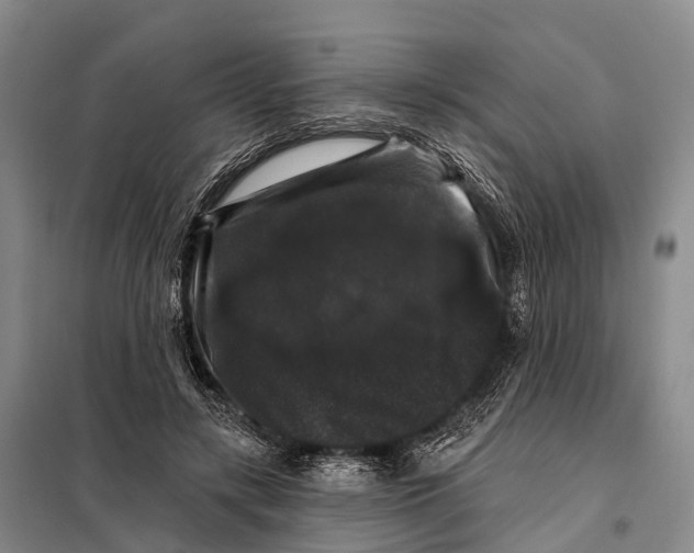 X0000098010547200804251117