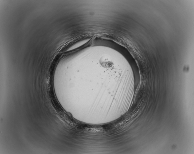 X0000098010548200804251117