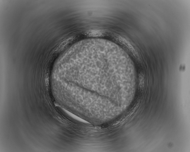 X0000098010549200804251117