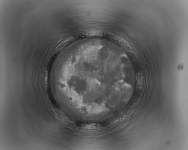 X0000098010550200804251117