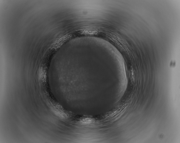 X0000098010551200804251117