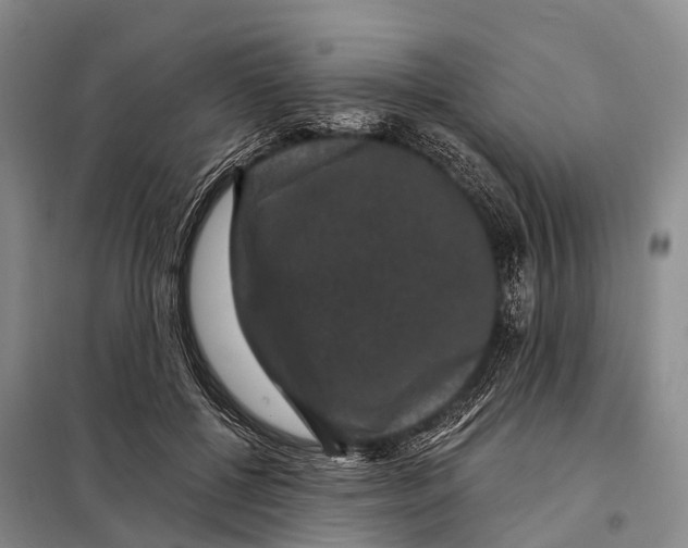 X0000098010552200804251117