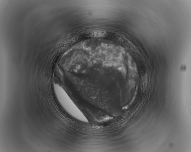 X0000098010553200804251117