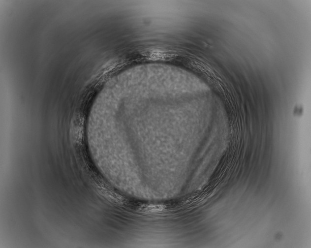 X0000098010554200804251117