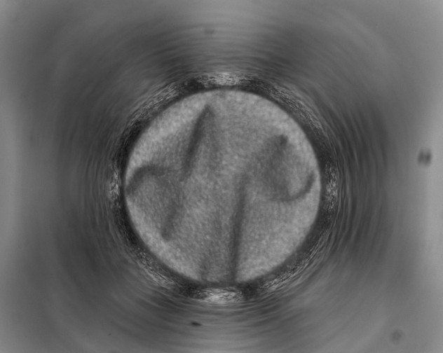 X0000098010555200804251117