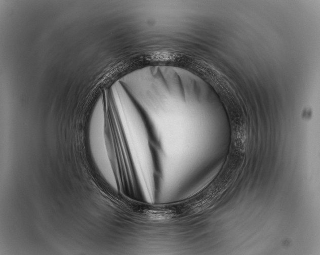 X0000098010556200804251117