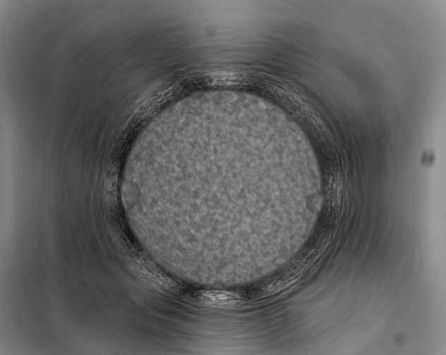 X0000098010557200804251117