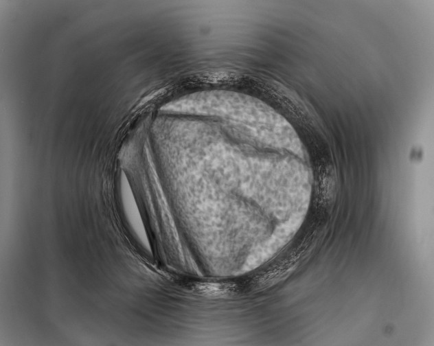 X0000098010558200804251117