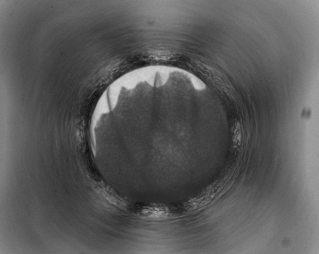 X0000098010559200804251117