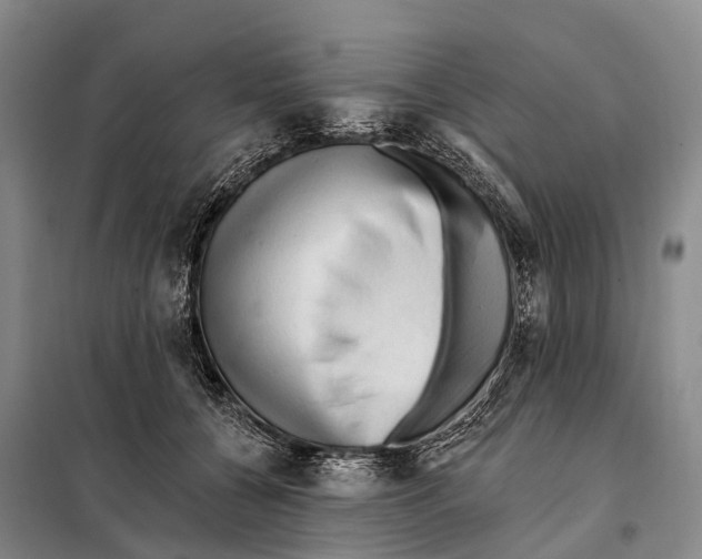 X0000098010560200804251117