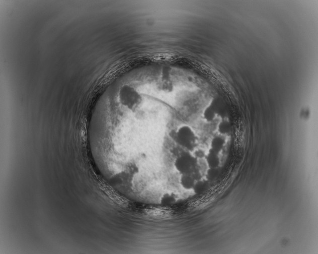 X0000098010561200804251117