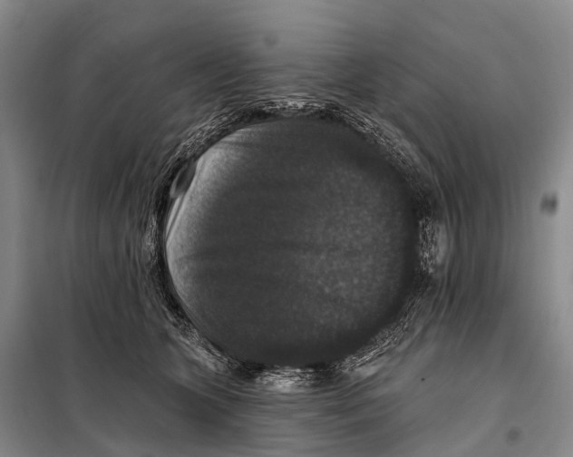 X0000098010563200804251117