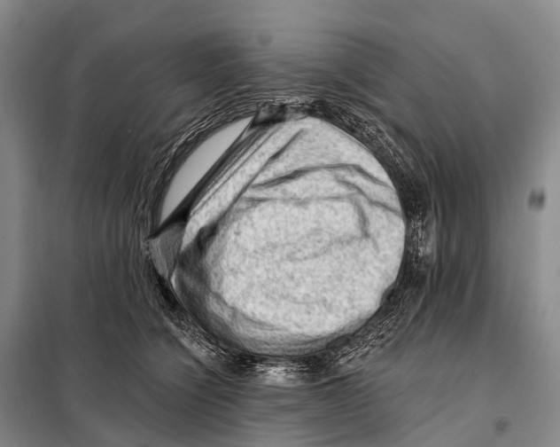 X0000098010564200804251117