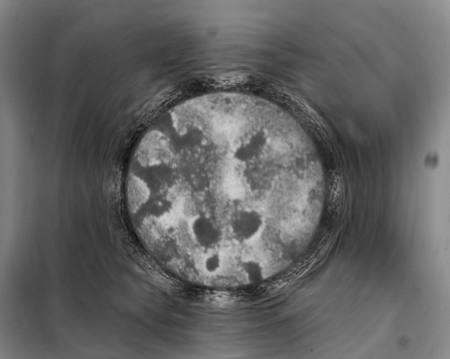 X0000098010565200804251117