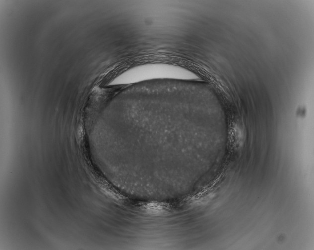 X0000098010566200804251117