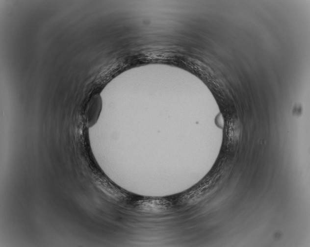 X0000098010567200804251117