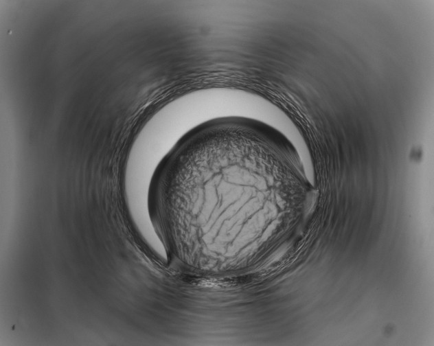 X0000098010568200804251117