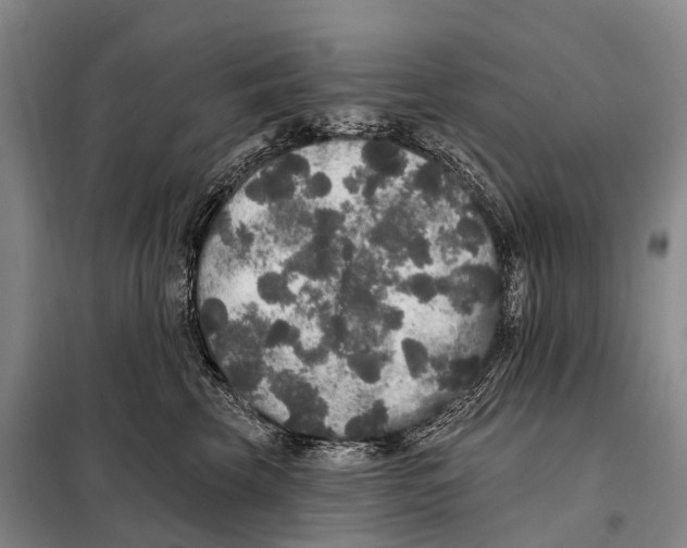 X0000098010569200804251117