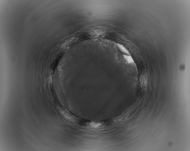 X0000098010570200804251117