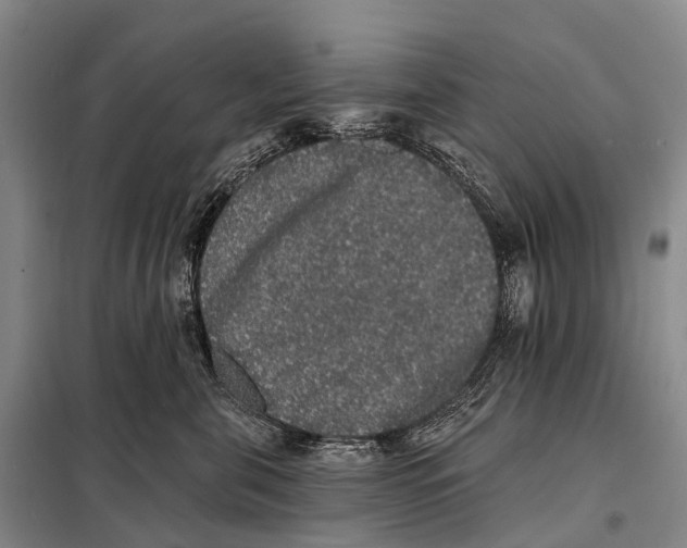 X0000098010571200804251117