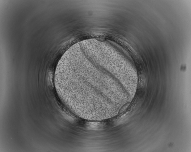 X0000098010575200804251117