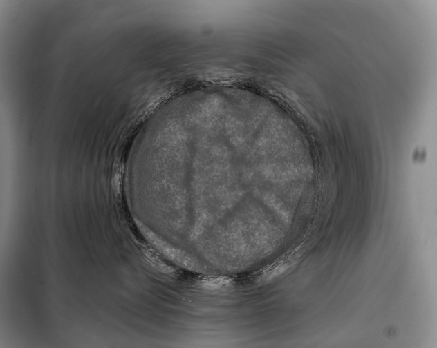 X0000098010576200804251117