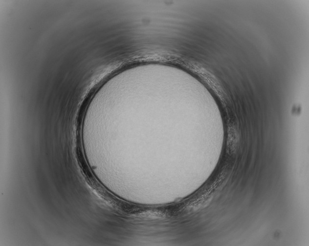 X0000098010578200804251116