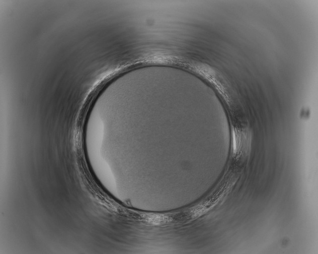 X0000098010579200804251116